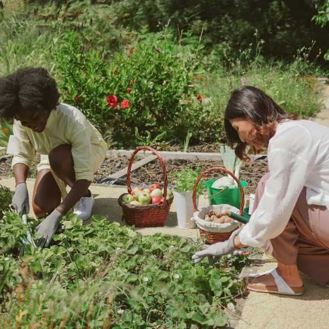 Horta de uma comunidade vegana sendo cuidada por duas mulheres da comunidade.