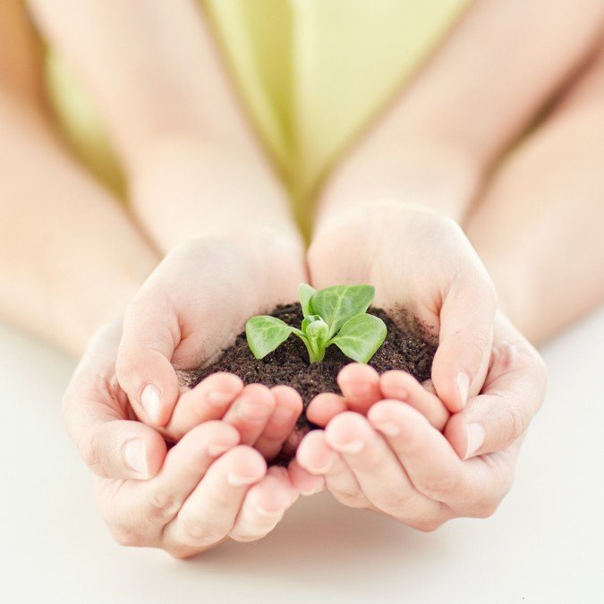Mãe segurando as mãos da filha que carrega um planta que se tornará uma árvore um dia.