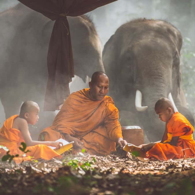 Pai e filhos fazendo refeição junto aos elefantes demonstrando a harmonia ideal entre o ser humano e a natureza.