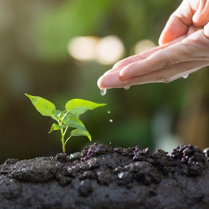 Mulher plantando uma árvore, simbolizando o crescimento que vem com o tempo e a dedicação.