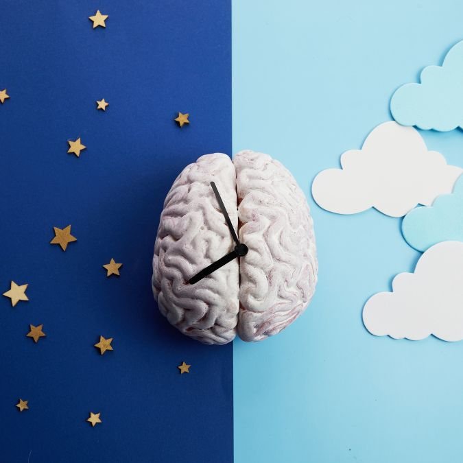 Imagem com um cérebro com ponteiros de relógio, à esqueda noite e à direita dia, simbolizando como aprender o fluxo do dia e da noite é importante para uma boa saúde cerebral.